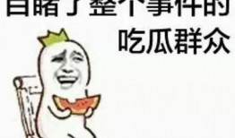 独家爆料 朝阳吃瓜群众一枚,朝阳吃瓜群众视角下的幕后故事