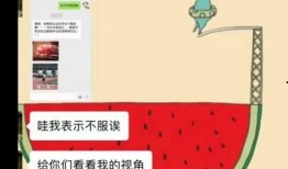 独家爆料 朝阳吃瓜群众一枚,朝阳吃瓜群众视角下的幕后故事